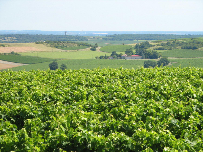 Others 3, Modern Apartment in Segonzac with Swimming Pool, Charente