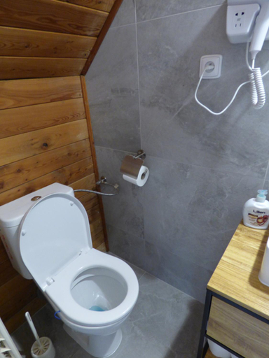 Bathroom 4, Hotel Svornost, Praha 14