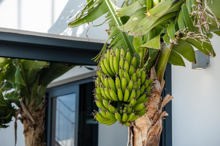 Food & Drinks 5, GuestReady - Anakaj House, Funchal