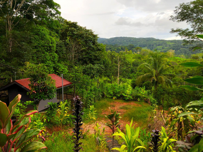 Others 3, The Elements Costa Rica Nature Lodges, Pérez Zeledón