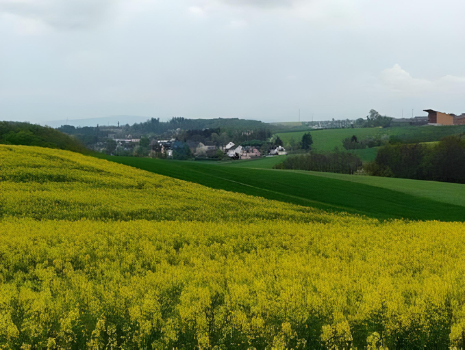 Others 5, gemutliche Ferienwohnung in Kaifenheim, Cochem-Zell
