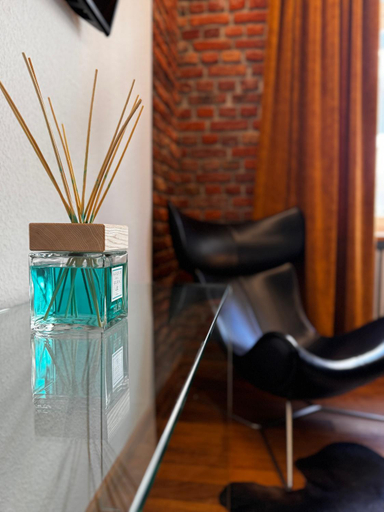 Facilities 3, Historical Luxury Homes - Luxus Loft Wallstreet, Freiburg im Breisgau