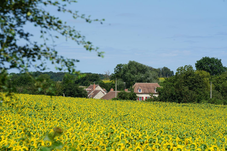 Others 4, Moulin de Petoulle, Cher