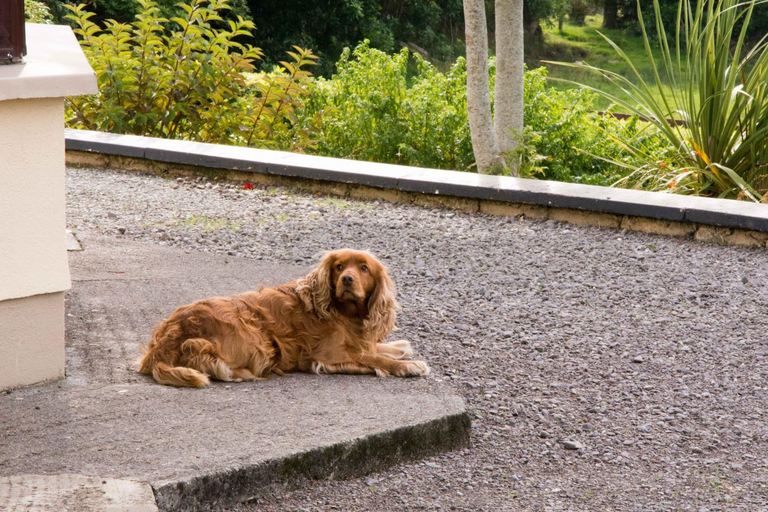 Mountain View B&B