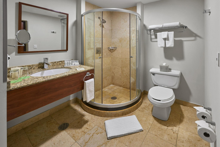 Bathroom 4, Senia Reforma, Mexico City