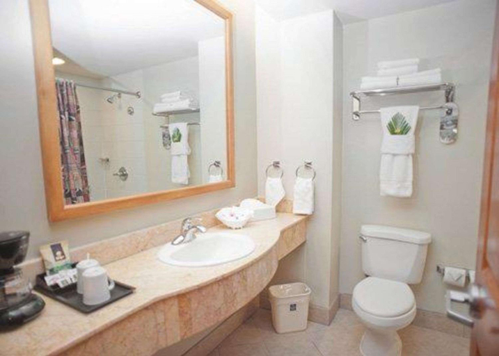 Bathroom 3, Sleep Inn Paseo Las Damas San Jose, San José