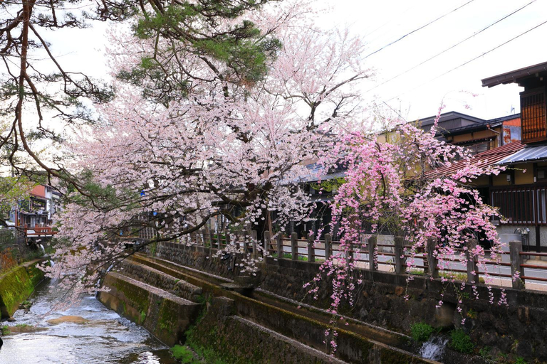Others 5, Takayama Stay Karatachi DX-A, Takayama