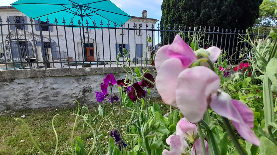 Others 5, Le Clos des Quatre Lieues, Gironde