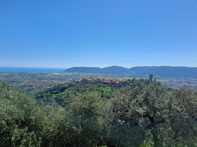 Surrounding environment