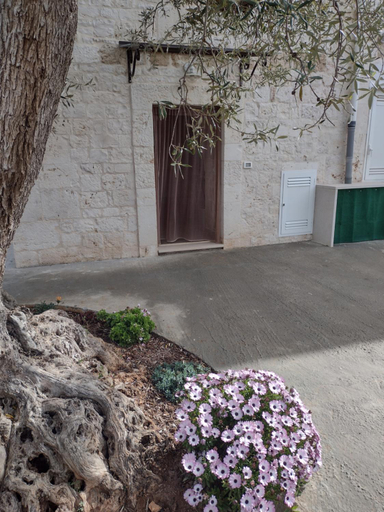 Others 4, La casa di pietra, Bari
