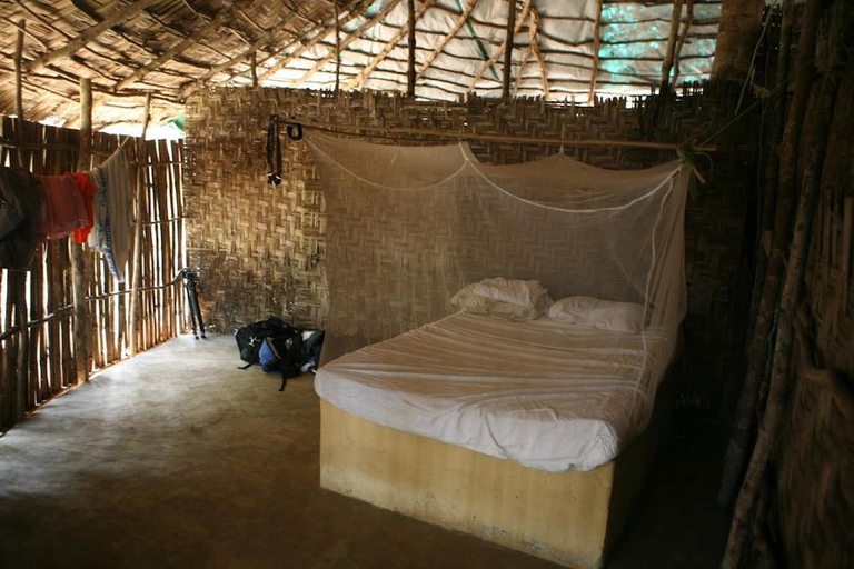 Bedroom 2, Daltons Banana Guesthouse, Western Rural