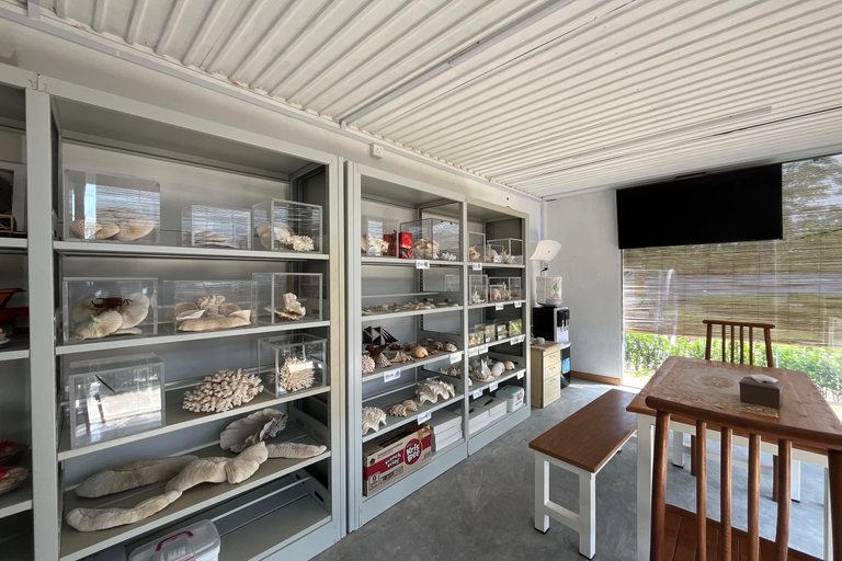 Saga Village Hotel & Resort Bintan, Bintan