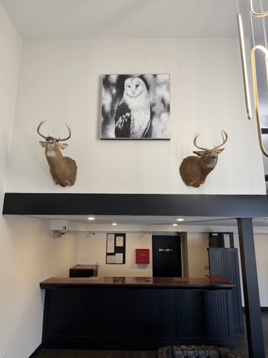 Others, Guest Lodge, Ward