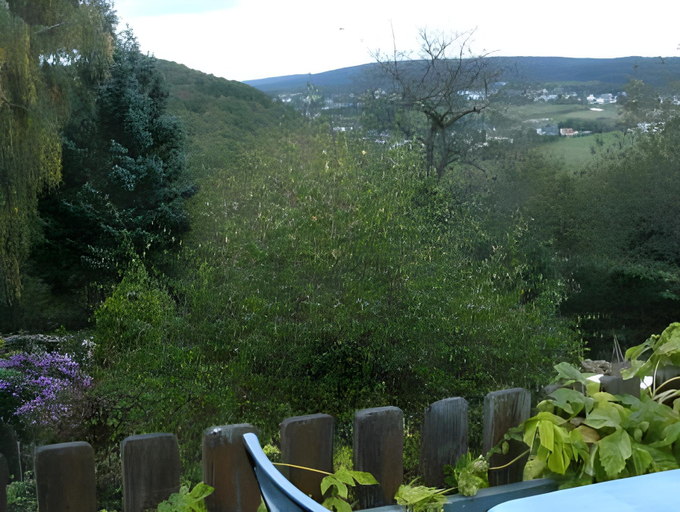 Others 3, Morbach Hillside Mansion, Bernkastel-Wittlich