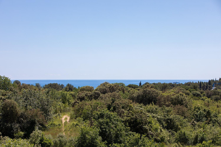 Others 2, Villa Mareonda, Rovinj