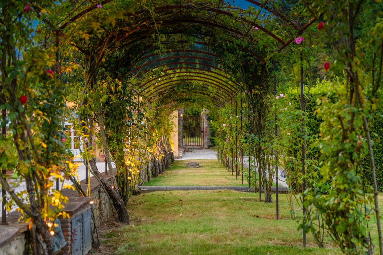 Room 5, Villa Antica in Lucca, Lucca