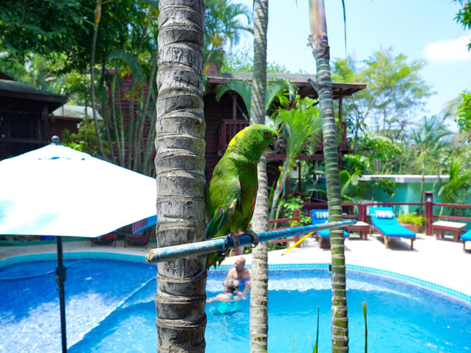 Others 3, West Bay Lodge and Spa, Roatán