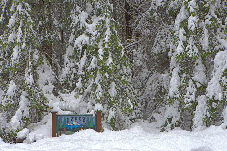 Room 5, Four Stone Lodge Near Mt Rainier, Pierce