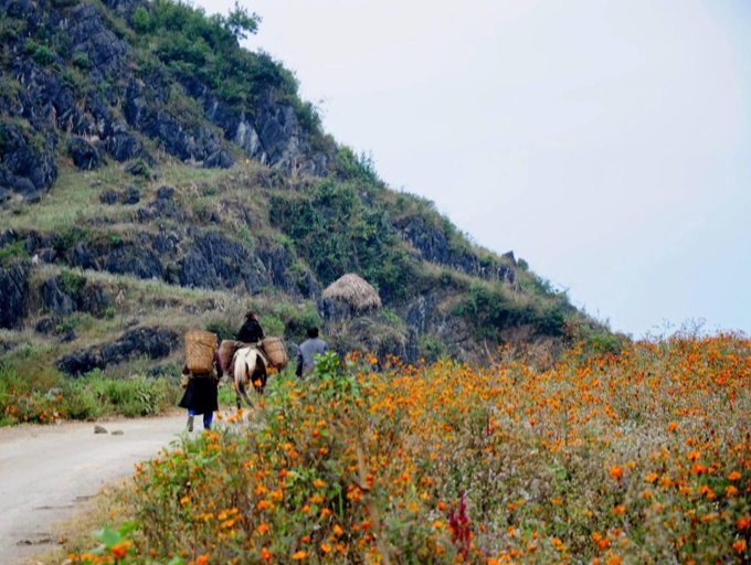 Others 5, Hang Thuong Hostel - Motorbikes And Tour, Hà Giang