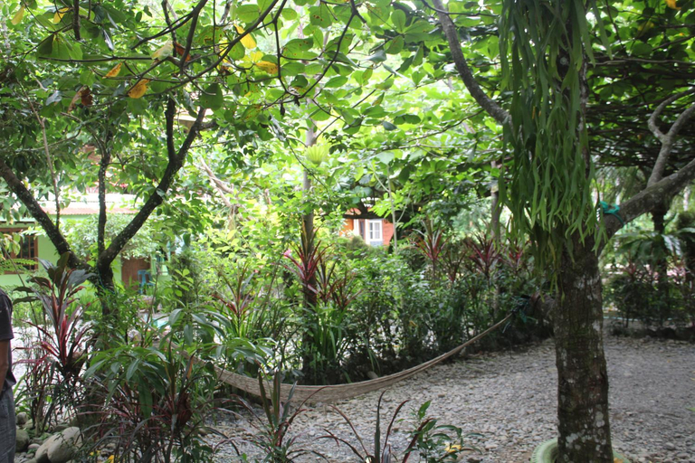 Scenery 6