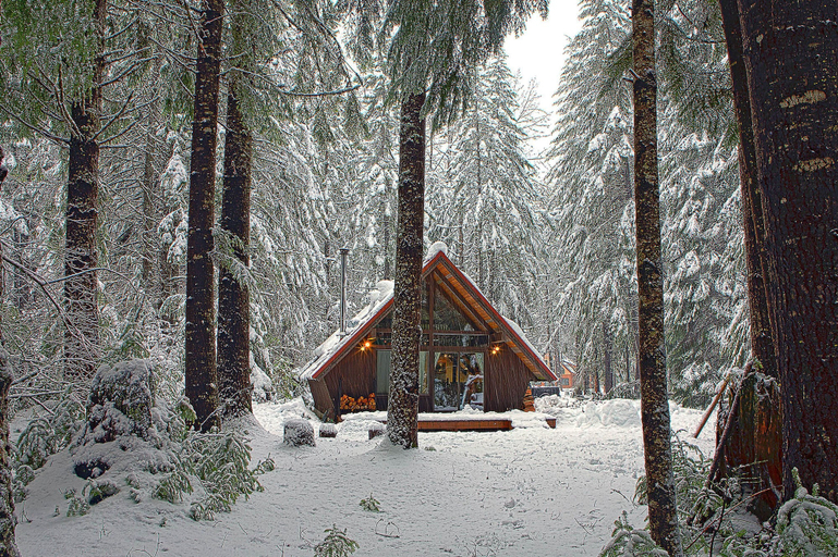 Room 4, Four Stone Lodge Near Mt Rainier, Pierce