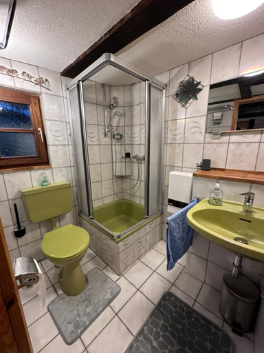 Bathroom 3, Ferienhaus Historisches Backhauschen, Rheingau-Taunus-Kreis