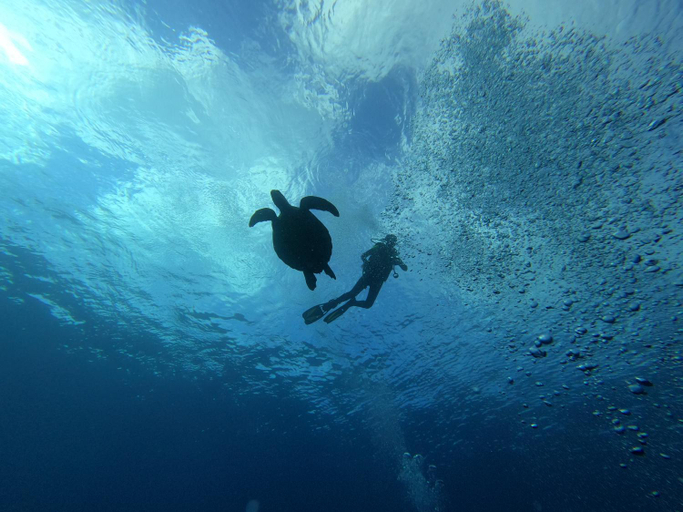 Others 5, 歸海Back to the Ocean, Taitung