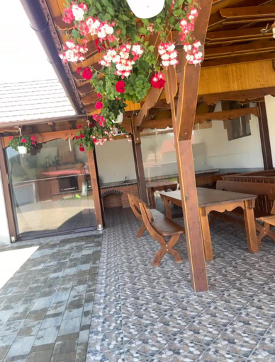 Others 4, Casa de Vacanta Raul, Gura Raului