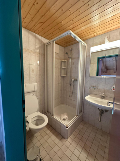 Bathroom 3, Touristenheim Bergfreude, Leuk