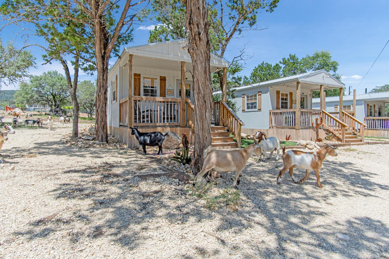 Others 4, Lucky Star Ranch - Starlight, Medina