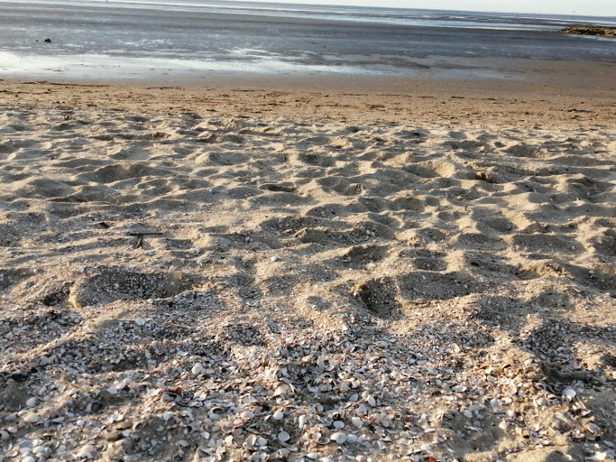 Surrounding environment 4, Steffis-Strand-Schule, Cuxhaven