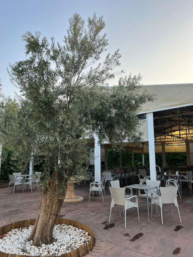 4, Pension Xiquena, Almería