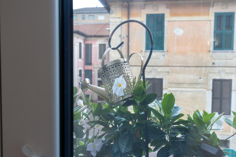 Others 4, B&B Sylvie, Frosinone