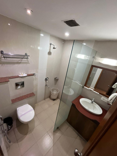 Bathroom 3, Hotel Padmini Palace, Dehradun