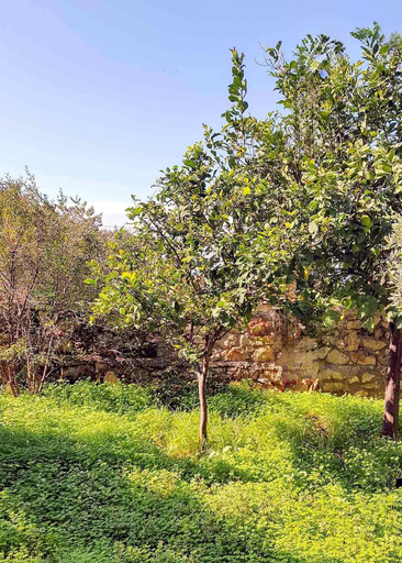 Room 4, Villa Eleni - Private Pool Retreat Near Kardamili, Peloponnese