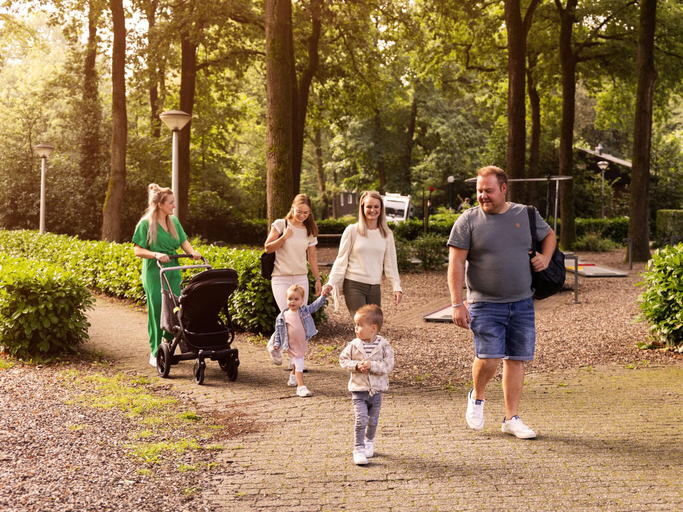 Others 3, Forest Bungalow w Pool, Putten