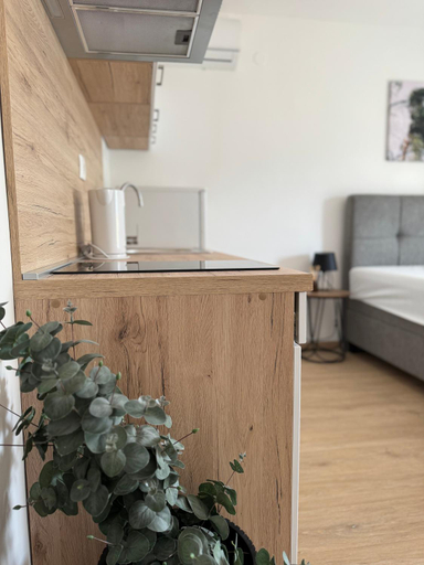Others 5, Apartments San Maris, Umag