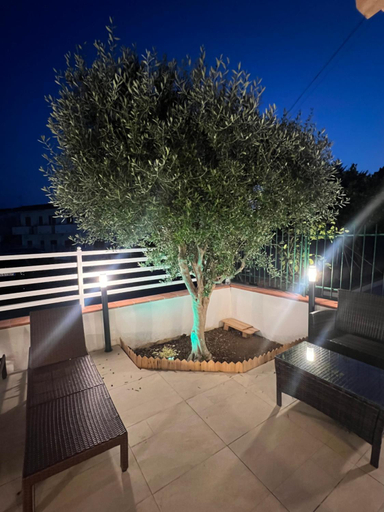 Others 5, B&B L Ulivo, Cosenza