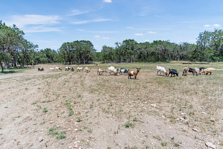 Others 2, Lucky Star Ranch - Starlight, Medina