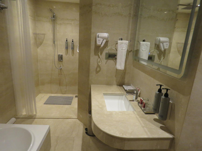 Bathroom 4, Lords Plaza Surat, Surat