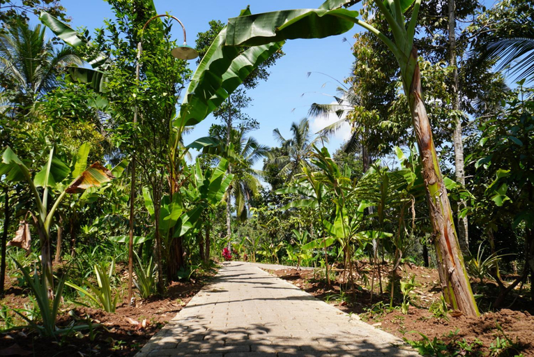 Entrance 4, Purwa Ijen, Banyuwangi