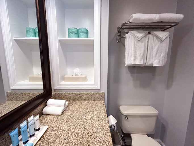 Bathroom 4, パーク レーン モーテル, Warren