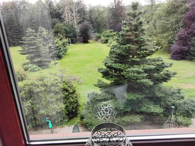 Others 3, Hochwald EnSuite, Osterode am Harz