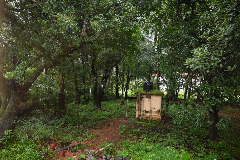 Others 5, Gennys farmhouse, Sindhudurg