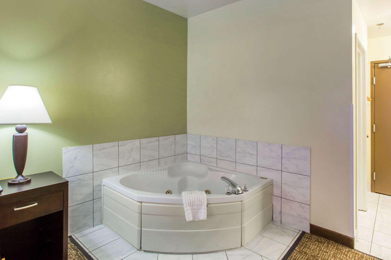 Bathroom, Comfort Inn Franklin Highway 96, Williamson