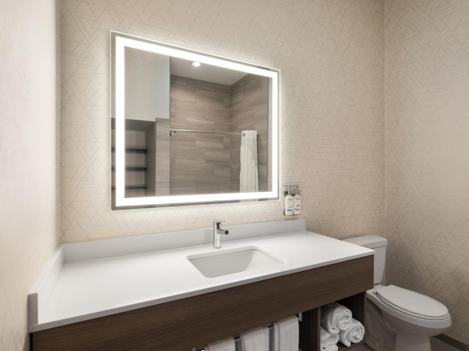 Bathroom 3, HOLIDAY INN EXPRESS MEADVILLE By IHG, Crawford