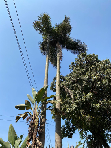 3, Casa Mianzini, Arusha