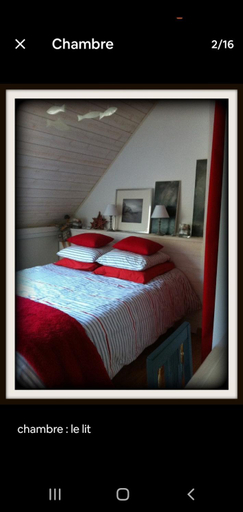 Others 5, Les Agapanthes, Morbihan