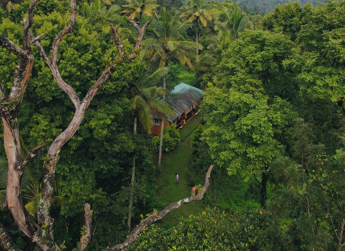 Scenery 6