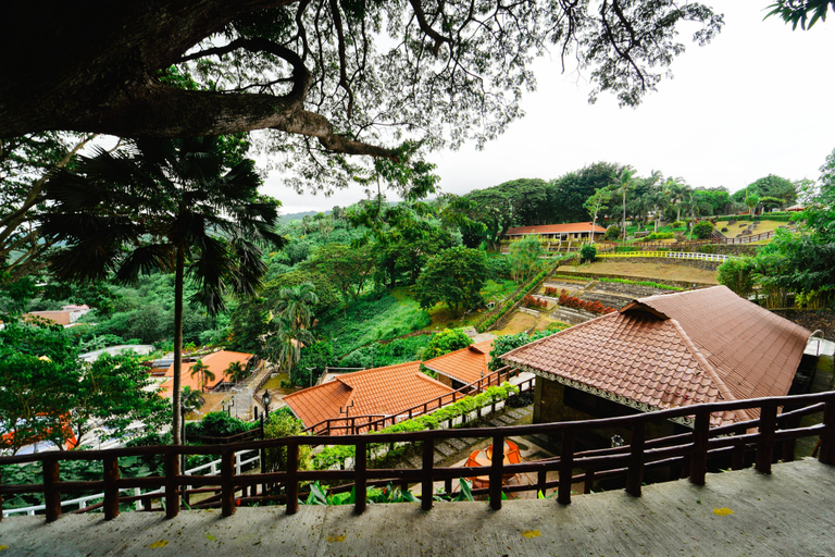 Sol Y Viento Mountain Hot Spring Resort Room Type - Cabana King